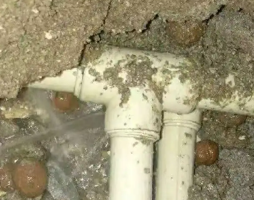 坡头测漏水多少钱