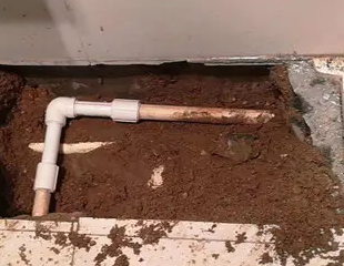 坡头测漏水哪家好