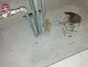 坡头卫生间测漏水价格明细