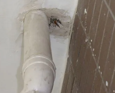 坡头漏水检测哪家好